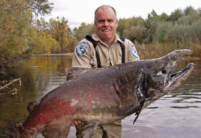 İnsan geni taşıyan GDO'lu balıklar piyasada mı?