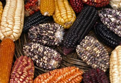 Türkiye tartışa dursun Avrupa’dan tarihi karar