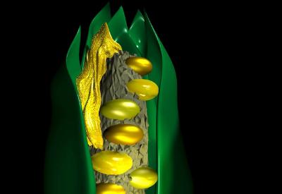 GDO’lu ürünleri devlet ithal etmiş