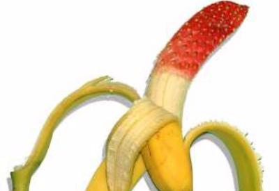 GDO'lu ürünler tehlike saçıyor