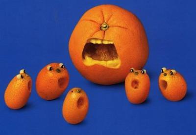 Mısır ve soya kansere yol açıyor!