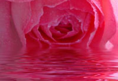 Unutulmuş şifa kaynağını keşfedin