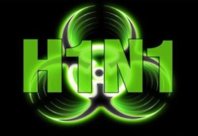 Domuz gribi bir palavraydı