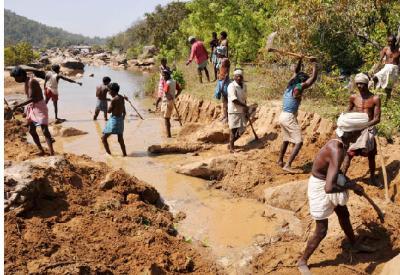 İntihar tohumları yüzünden 6 saatte bir çiftçi intihar ediyor!