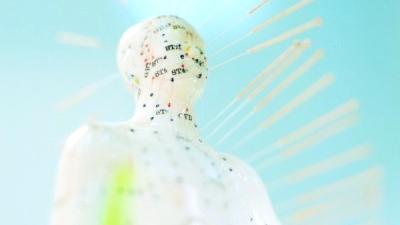 Domuz gribi hakkında herşey