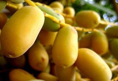 Kalbinizi dostuyla tanıştırın