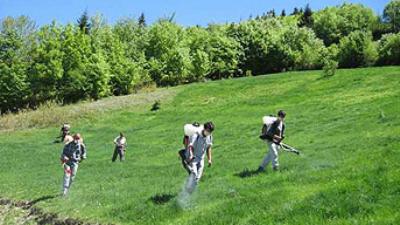 Tarım ilaçlarında 'reçete' dönemi