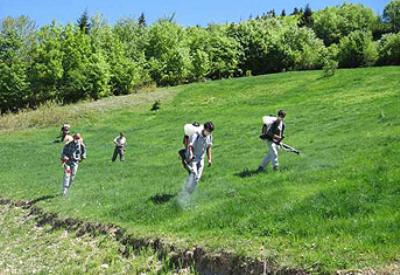 Tarım Bakanlığı'nın GDO sevdası ve genetik denemeleri