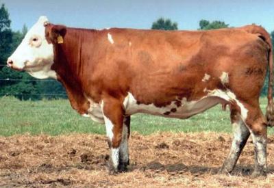 Sütteki gizli tehlike!