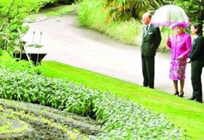 GDO korkusu saray bahçelerini tarım alanına dönüşdürttü