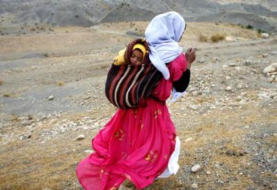 Türkiye GDO cennetiymiş!