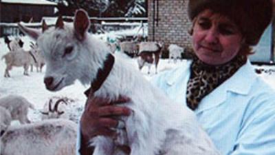 İnsan sütü vermesi beklenilen keçi ürettiler