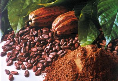 GDO'lu kakaolar piyasada mı?