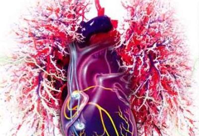 Damarlarımızda dolaşan kimyasal kokteyl