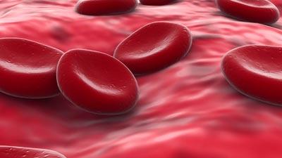 Kan bağışla, kalp ve damar hastalıklarına yakalanma