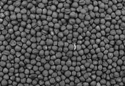 Kanserojen kanola yağı, zeytin yağı diye satılıyor