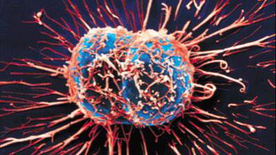 “Böyle giderse korkarım ki birinci sıraya çıkacak”