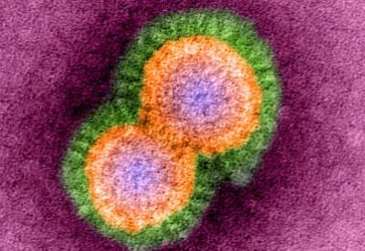 Kanser hakkında bilmeniz gereken herşey...