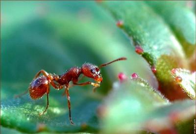 Tüy dökücü kremlerdeki tehlike