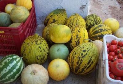 İşsizlere 'kavun'lu örnek çözüm