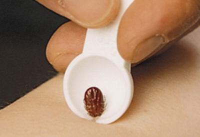 Keneler, İsrail ürünü çıktı