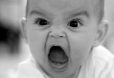 Bütün kasabayı delirtmişler