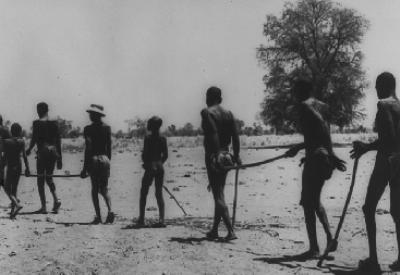 Yeni sömürgecilik tarımda