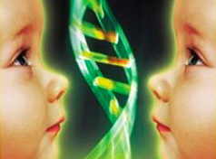 Klonlu hayvan etine yasak çağrısı yapıldı