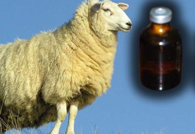 'Kurbanlıklara verilen hormonlar kanser yapar'