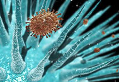 Yeni kabusun adı: LUJO