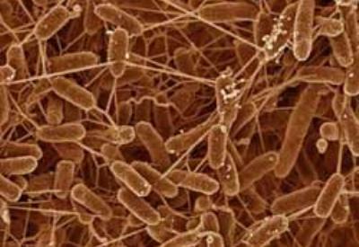 Sizden birileri maddi menfaatleri için bizim gücümüzü abartıyor