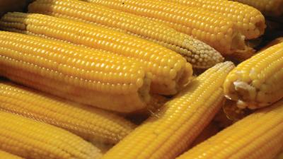 Lüksemburg da yasakladı ama Türkiye'de hâlâ serbest