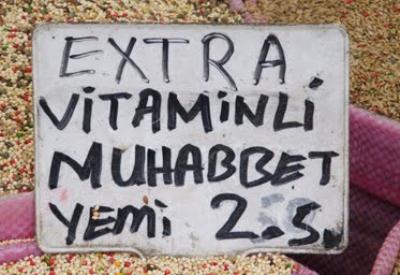 Bu tasarı GDO'cuları huzursuz ediyor