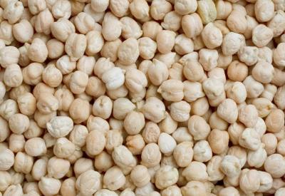 Nohut mayasının sırrı!