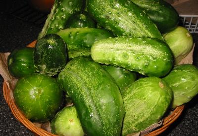 Geçte olsa aklı başına gelen AB, saplantılarından kurtuluyor