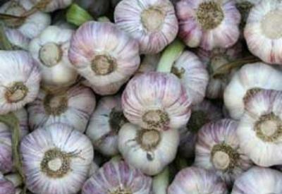 Griplerden koruyan besinler