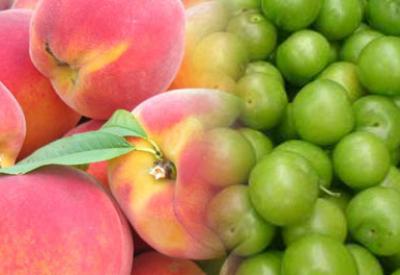 Bu meyveler kanser hücrelerini yok ediyor