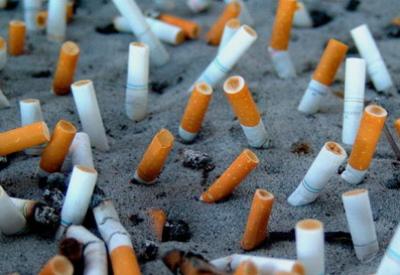 Sigaranın filtresinde domuz kanı var!