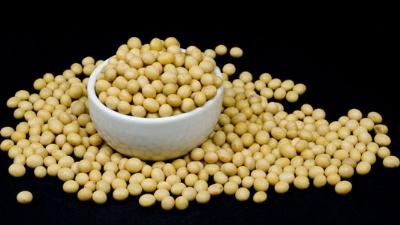 İçimiz dışımız soya oldu; kim kazanıyor, kim kaybediyor?