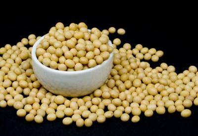 Erkekleri ve dolayısıyla da kadınları bekleyen büyük tehlike