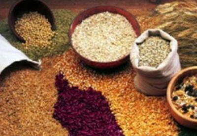 Tohum saklayanlar dikkat!