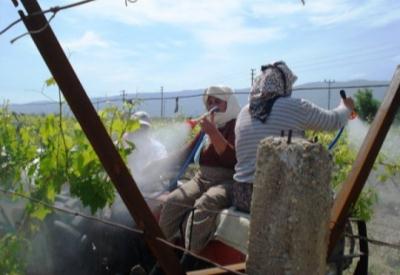 Bakan Eker’i kendi belgesi tekzip ediyor