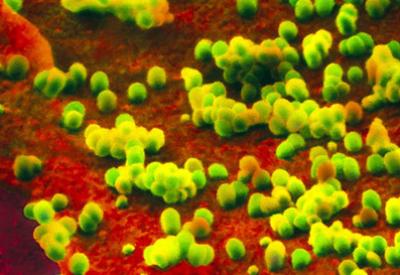 Şeytan, bildik bir tuzağını daha anons etti