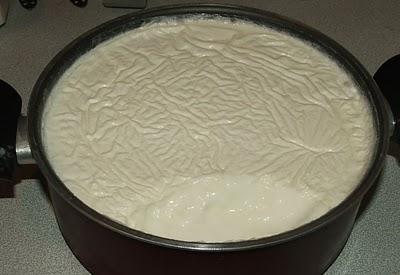 Ev yoğurdu kanserden koruyor!