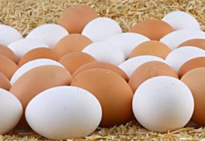 Yumurtanın beyazını mı kahverengisini mi seversiniz?