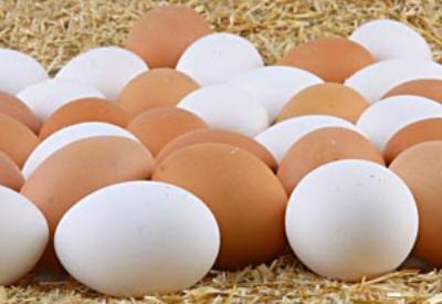 Yumurtada salmonelle tehlikesi mi var?
